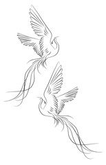  Пара жар птиц