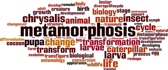 Metamorphosis word cloud concept. Vector illustration