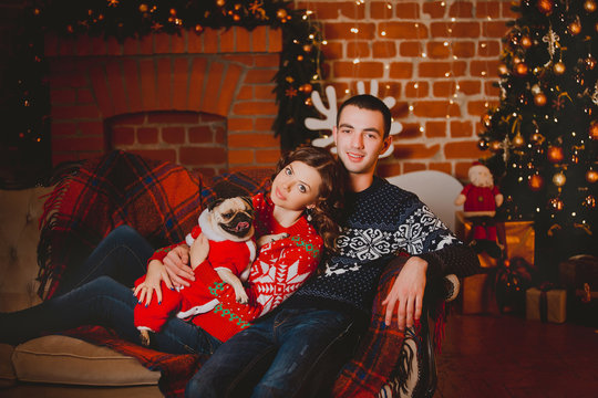 Happy loving young people and pug dog having fun near the Christmas tree. Smiling couple celebrating New Year. Toned image.