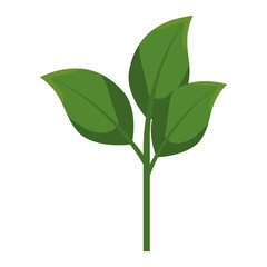 Fototapeta premium plant with pot isolated icon vector illustration design