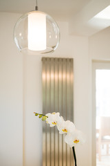 Contemporary kitchen dining room interior with modern lighting and radiator