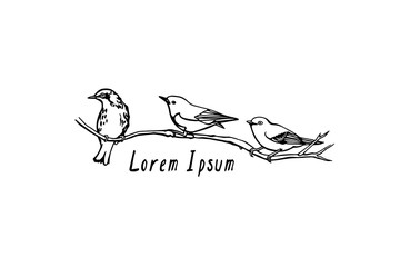 Hand drawn birds