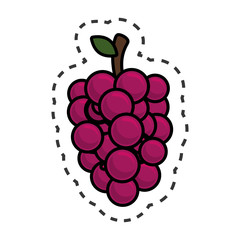 fresh fruit isolated icon vector illustration design