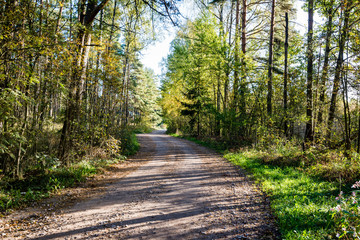 Fototapeta premium the road ahead