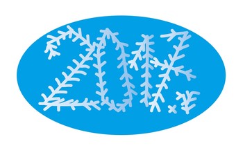 Nowy Rok © monikakosz