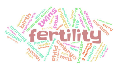 Fertility. Word cloud, multicolored font, white background. The miracle of birth.