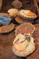 Coquilles Saint-Jacques en promotion.