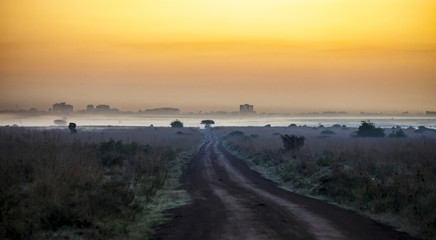 Road leading toward Nairobi