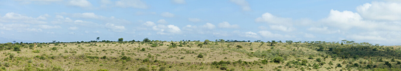Fototapeta na wymiar panorama of Nairobi National Park