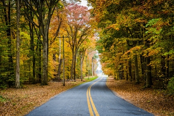 Autumn color along Carmichael Road, near Wye Island, Maryland.