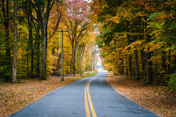 Autumn color along Carmichael Road, near Wye Island, Maryland.