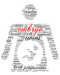Embryo. Word cloud, silhouette of a pregnant woman, italic font, white background. The miracle of birth.