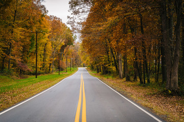 Autumn color along Carmichael Road, near Wye Island, Maryland.