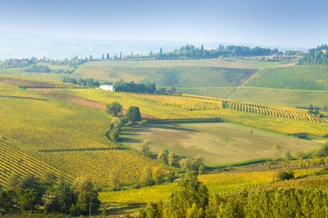 Fototapeta premium vineyards in autumn colors autumn vineyards in the mountains of Italy