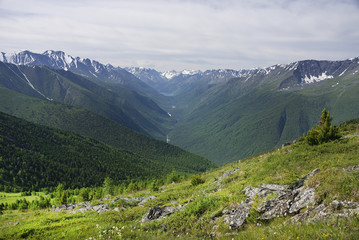 Fototapeta na wymiar Alpine landscape in Altai Mountains, Siberia, Russian Federation