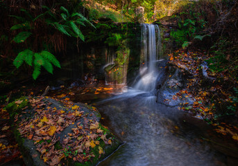 Fototapeta premium Small waterfall in a stream