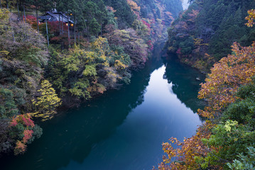 The forest of Okutama has various colors of trees in autumn and the river Tamagawa runs through it in Tokyo, Japan.