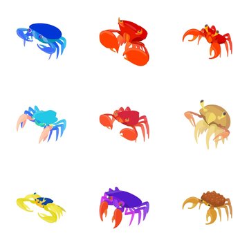 Types of crabs icons set. Cartoon illustration of 9 types of crabs vector icons for web