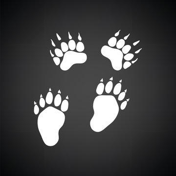 Bear trails  icon