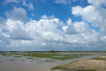 blue sky with white could