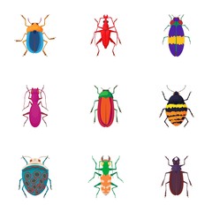 Species of beetles icons set. Cartoon illustration of 9 species of beetles vector icons for web