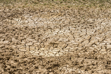 Dry land.