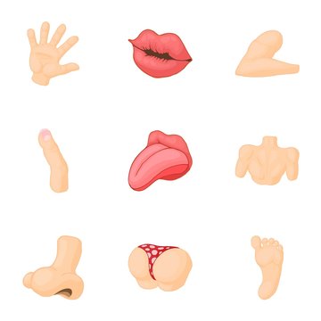 Outer part of body icons set. Cartoon illustration of 9 outer part of body vector icons for web