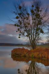 View of landscape in autumn evening