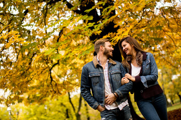 Loving couple in the autumn park