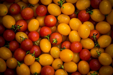 Small Red and Yellow tomato.