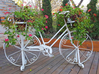 Fototapeta na wymiar Old white bicycle decorated with flowers