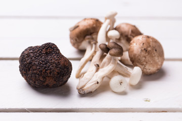 Black truffle of Sarrion in Teruel Spain, and mushrooms