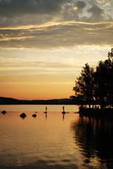 Forest lake at sunset.