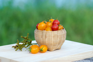 Small Red and Yellow tomato.