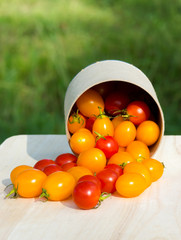 Small Red and Yellow tomato.