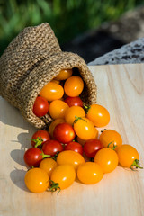 Small Red and Yellow tomato.