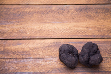 Obraz na płótnie Canvas Black truffle of sarrion in teruel spain