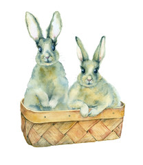 Naklejka premium Watercolor painting. Two little rabbits in a basket on a white background.