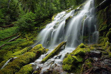 Fototapeta premium Proxy falls, Oregon