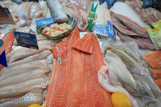 Poissonnerie. Saumon. / Fish shop. Salmon.
