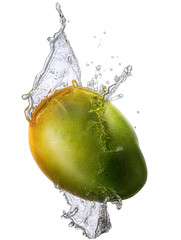 Water splash and fruits isolated on white backgroud with clipping path. Fresh mango