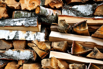 Birch firewood logs stacked for drying.