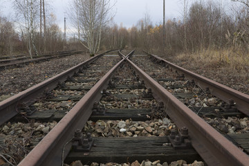 Eisenbahnschienen im Herbst