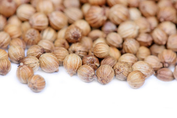 Coriander seeds on white background