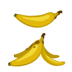 Whole banana and peel, two vector images isolated