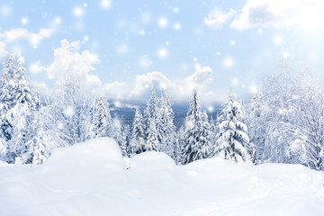 Winter forest against mountains