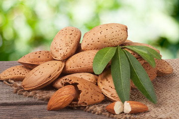 heap of almonds in their skins with leaf isolated on white background