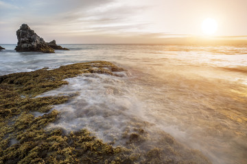 Rocks and seaweed