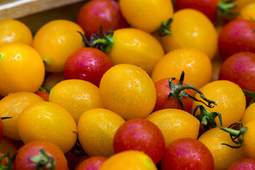 Small Red and Yellow tomato.