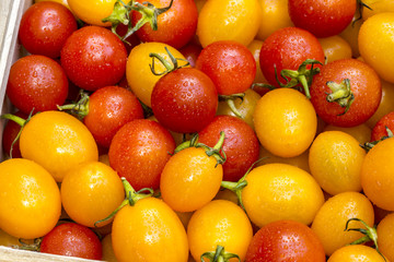 Small Red and Yellow tomato.